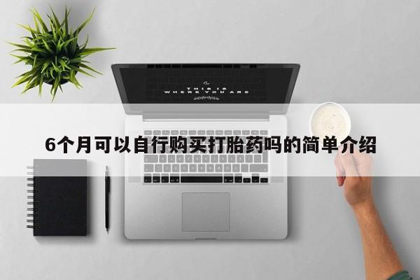 私人卖打胎药怎么处理6个月可以自行购买打胎药吗的简单介绍